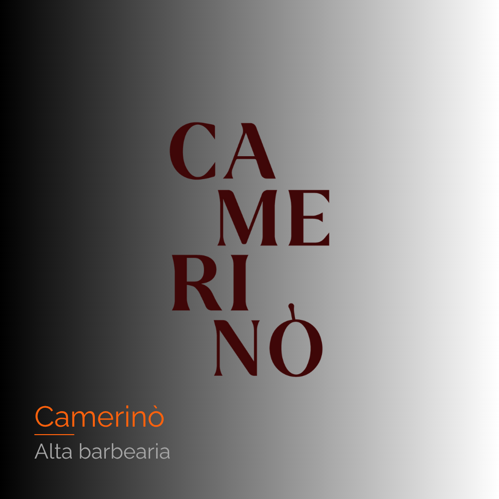 Camerinò